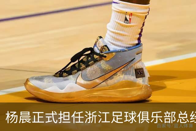杨晨正式担任浙江足球俱乐部总经理